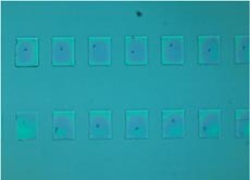 Oxygen plasma treated PDMS surface: 1st imprint