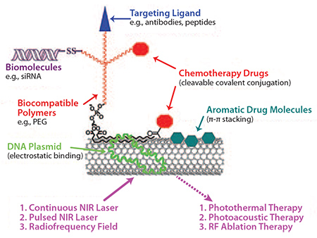 Schematic strategies of SWNTs-based drug-delivery and cancer therapy. Schematic strategies of SWNTs-based drug-delivery and cancer therapy.