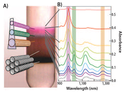 Sorting of SWNTs via density gradient ultracentrifugation (DGU). Sorting of SWNTs via density gradient ultracentrifugation (DGU).