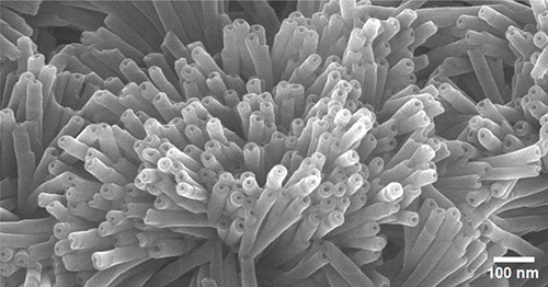 SEM image showing uniform nanotube openings of PDNT.
