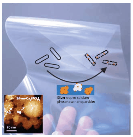 Chemistry in Flames: From Oxide to Salt and Metal Nanoparticles Composite nanoparticles with 1-2 nm silver nanoparticles homogeneously distributed on calcium phosphate carrier nanoparticles
