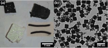 examples-of-morphologies examples-of-morphologies