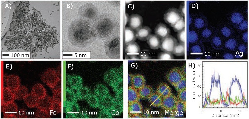 TEM and STEM images of as-synthesized Ag/FeCo/Ag MPNBs TEM and STEM images of as-synthesized Ag/FeCo/Ag MPNBs