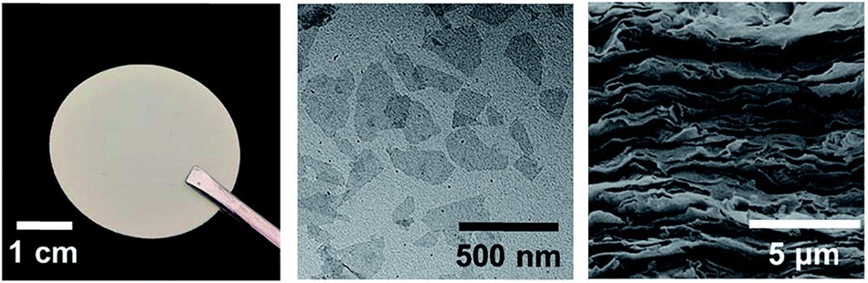 TEM, photo, and crosssectional SEM of RMM TEM image, digital photograph, and crosssectional SEM image of an RMM
