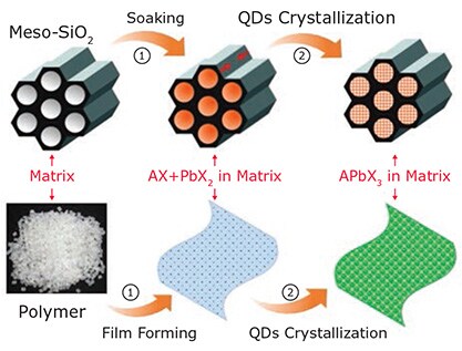 A schematic diagram of in situ formation strategy for perovskite QDs/NCs within inorganic and polymer matrices.