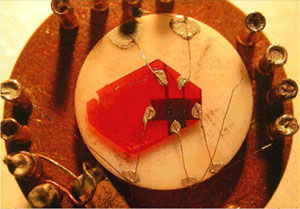 Sublimed grade Rubrene (Product No. 551112) in a single-crystal OFET setup2, with an extremely high hole mobility of ~8 cm2/V.s.