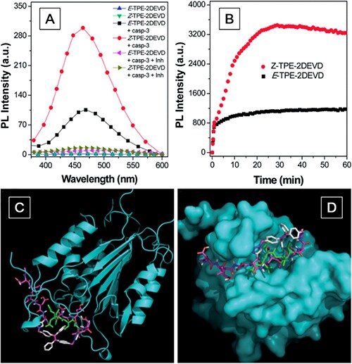 AIE Luminogens: A Family of New Materials with Multifaceted Functionalities PL spectra of E- and Z-TPE-2DEVD before and after incubation with caspase-3
