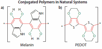 Conjugated polymers in natural system Conjugated polymers in natural system