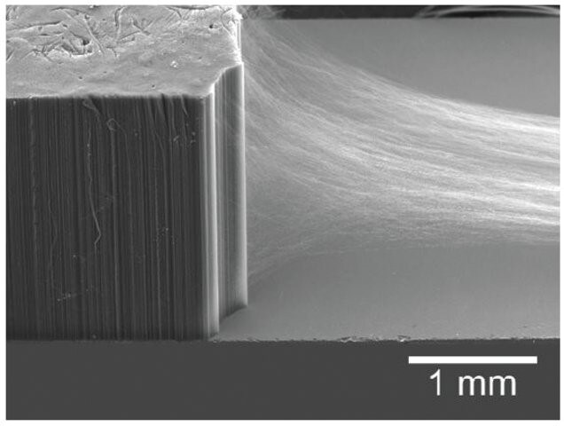 SEM of a drawable carbon nanotube array, with CNT sheet pulled out from the side.