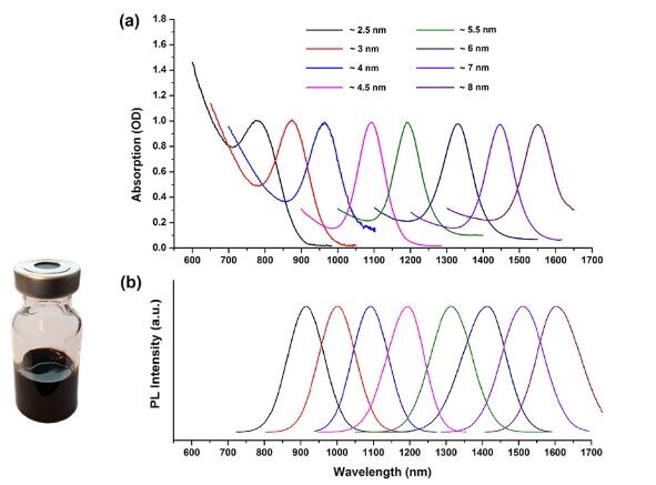 Graphical representation of absorption and emission wavelengths for approximately 4 nm lead sulfide (PbS) quantum dots. Panel (a) shows a series of overlapping curves representing absorption coefficients (Y-axis) across a range of wavelengths from 600 to 1700 nanometers (X-axis). Each curve is labeled with a different quantum dot size from 2.5 nm to 8.0 nm, indicating the size-dependent shift in absorption peaks. Panel (b) displays corresponding photoluminescence intensity curves with similar size-dependent wavelength shifts. Below the graphs, an image of a small glass jar containing dark blue liquid, presumably the PbS quantum dots solution, is shown. Graphical representation of absorption and emission wavelengths for approximately 4 nm lead sulfide (PbS) quantum dots. Panel (a) shows a series of overlapping curves representing absorption coefficients (Y-axis) across a range of wavelengths from 600 to 1700 nanometers (X-axis). Each curve is labeled with a different quantum dot size from 2.5 nm to 8.0 nm, indicating the size-dependent shift in absorption peaks. Panel (b) displays corresponding photoluminescence intensity curves with similar size-dependent wavelength shifts. Below the graphs, an image of a small glass jar containing dark blue liquid, presumably the PbS quantum dots solution, is shown.