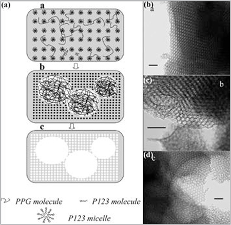Formation mechanism of thin films with hierarchical porous architecture