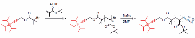 Synthesis of heterotelechelic poly(tert-butyl acrylate) comprising both a protected alkyne and an azide terminus.