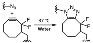 spaac-between-an-azide SPAAC between an azide and a difluorocyclooctyne eliminates the need for a copper catalyst and allows material fabrication under physiological conditions.