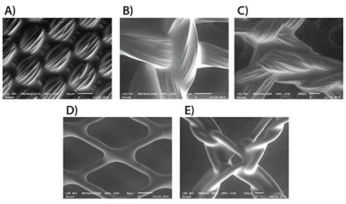 SEM images of Regenerez coatings deposited SEM images of Regenerez coatings deposited