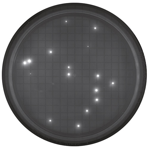 Agar plate after fluorescent staining Keywords: Fluorescent staining, microbial testing, rapid microbial detection Agar plate after fluorescent staining for rapid microbial detection with the Milliflex® Quantum system