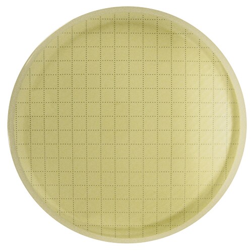 Agar plate before incubation Agar plate, microbial membrane Alt text: Agar plate with membrane, no bacteria colonies visible