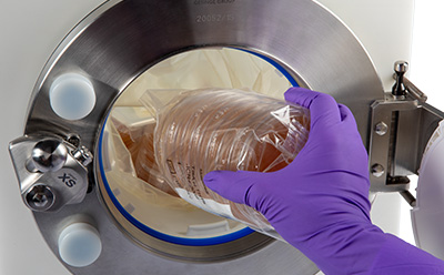 A gloved hand is placing a sealed bag containing a stack of petri dishes into a large autoclave chamber, which has a circular opening and metallic edges, indicating a sterile environment.