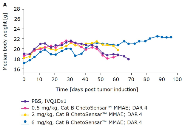 Body weight of mice treated with ChetoSensar-ADCs A Chart demonstrating that body weight of mice treated with ChetoSensar™-ADCs DAR 4 shows good tolerability in-vivo.