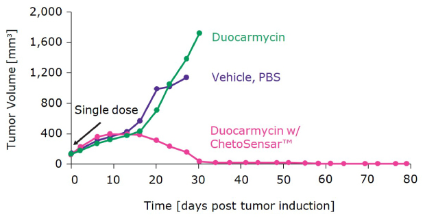Tumor regression with DAR 2 ChetoSensar™-duocarmycin ADC Xenograph model demonstrates notable tumor regression with DAR 2 ChetoSensar™-duocarmycin ADC compared to ADC without ChetoSensar™
