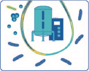 CCM with mycoplasma and bacteria. Bioreactor