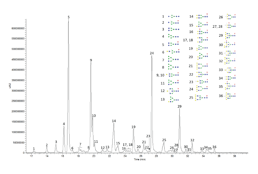Fluorescence Chromatogram of Procainamide-Labeled Cetuximab Glycans obtained using BIOshell™ Glycan column and LC-MS for characterization of the peaks