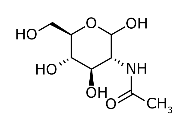 Chemical Structure N Acetylglucosamine Chemical structure of N-Acetylglucosamine