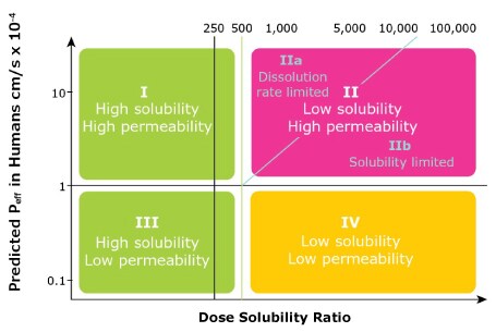 Developability Classification System The Developability Classification System for APIs adds to the Biopharmaceutics Classification System by including Class IIa for dissolution rate limited APIs and Class IIb for solubility limited APIs