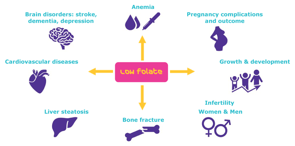 Benefits of Folate | Folate insufficiency can lead to a range of diseases and medical conditions
