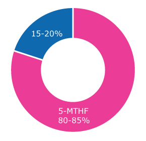 Folic Acid Supplementation | Large amounts of folic acid pass to breast milk if the mother is taking folic acid supplements