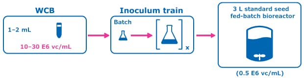 Control condition: Conventional Seed Train Figure 2 (Control condition: Conventional Seed Train) shows the experimental plan for intensified upstream case study evaluation comparing a perfused N-1 seed train utilizing a Cellicon® filter for cell retention to a conventional seed train in shake flasks prior to inoculation of a set of fed-batch bioreactors at 0.5E6 cells/mL.