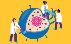 The Process of Cell lysis and DNA Digestion Illustration of scientists cutting open the cell and extracting the DNA inside, all while breaking up any unwanted DNA.