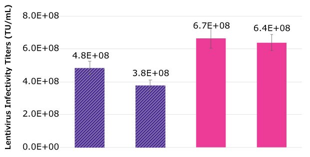 Lentivirus infectivity titer was as high as 4.8E+08 TU and as low as 3.8E+08 TU in the 50 L bioreactors. Shaker flasks had a titer at 6.7E+08 and 6.4E+08 TU.