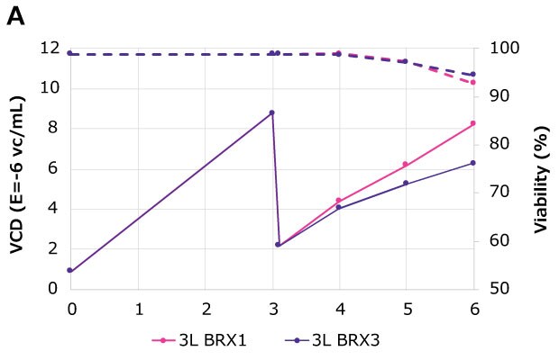 At harvest time point of 48 hours post-transfection (Day 6), VCD of 6E+06 vc/mL to ~8E+06 vc/mL was achieved in Mobius<sup>®</sup> 3 L Bioreactors (BRX) (solid lines) while maintaining harvest viability of > 90% (dotted lines). Transfection was done on Day 4.