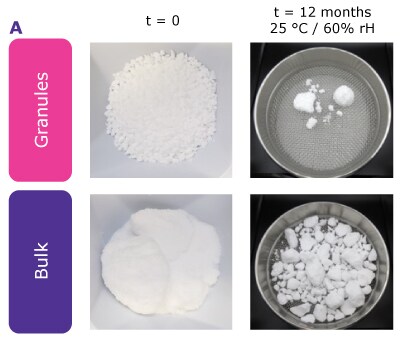 Appearance of Granulated Urea Following 12 Month Stability Study Granulated urea showed significantly less caking than non-granulated bulk materials