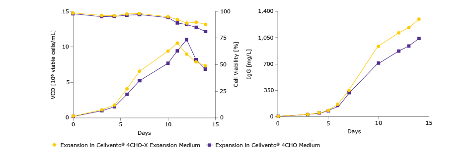 38406_Preparing_CHO_Cells_Whitepaper_Images_620x320 生物反应器确认与Cellvento® 4CHO的相容性