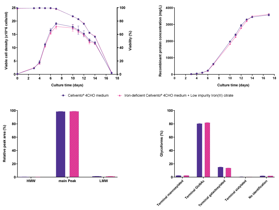 Cell line performance and CQA profiles for CHO K1 mAb1 Line graphs and bar charts showing results for cell line performance parameters viable cell density, viability, and recombinant protein concentration, as well as protein characteristics molecular weight and glycoforms in CHO K1 cells producing mAb1, comparing Cellvento® 4CHO COMP and iron-deficient Cellvento® 4CHO medium supplemented with Low impurity Iron(III) citrate for Cell Culture Media. No differences were observed.