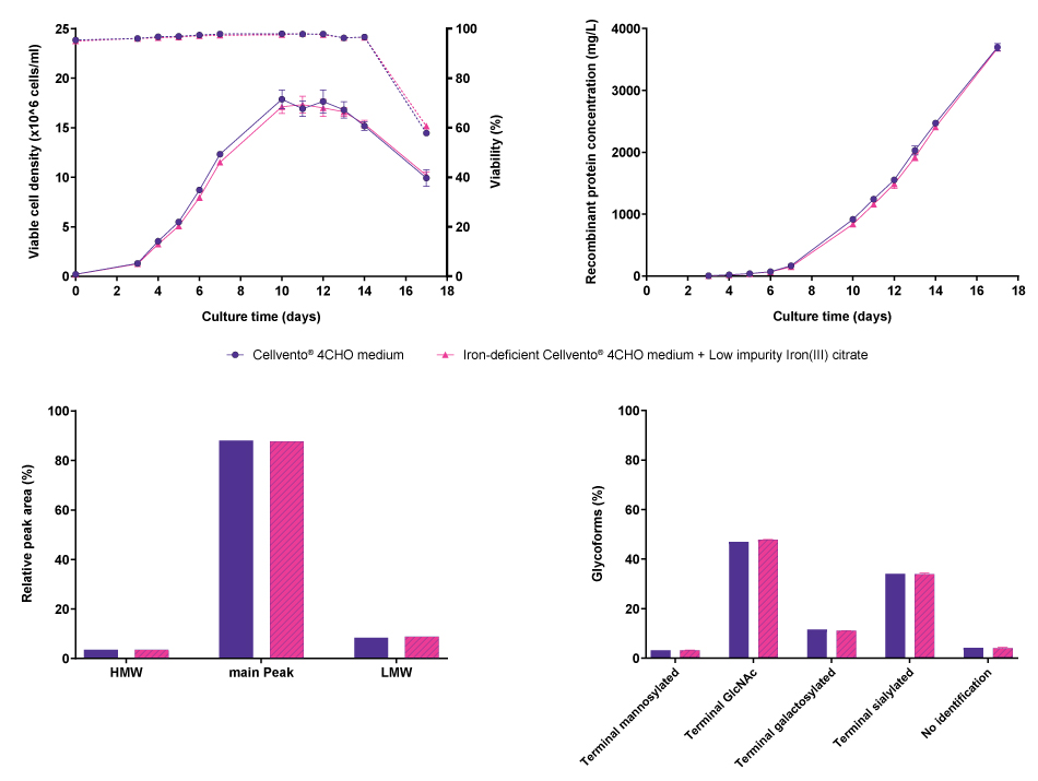 Cell line performance and CQA profiles for CHO K1 mAb5 Line graphs and bar charts showing results for cell line performance parameters viable cell density, viability, and recombinant protein concentration, as well as protein characteristics molecular weight, and glycoforms in CHO K1 cells producing mAb5, comparing Cellvento® 4CHO COMP and iron-deficient Cellvento® 4CHO medium supplemented with Low impurity Iron(III) citrate for Cell Culture Media. No differences were observed.