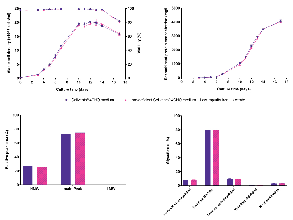Cell line performance and CQA profiles for CHO K1 modified IgG Line graphs and bar charts showing results for cell line performance parameters viable cell density, viability, and recombinant protein concentration, as well as protein characteristics molecular weight, and glycoforms in CHO K1 cells producing a modified IgG, comparing Cellvento® 4CHO COMP and iron-deficient Cellvento® 4CHO medium supplemented with Low impurity Iron(III) citrate for Cell Culture Media. No differences were observed.