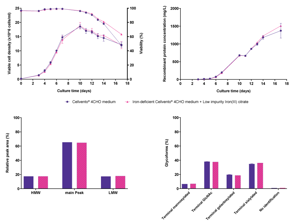 Cell line performance and CQA profiles for CHOZN<sup>®</sup> fusion protein 1 Line graphs and bar charts showing results for cell line performance parameters viable cell density, viability, and recombinant protein concentration, as well as protein characteristics molecular weight, and glycoforms in CHOZN® cells producing fusion protein 1, comparing Cellvento® 4CHO COMP and iron-deficient Cellvento® 4CHO medium supplemented with Low impurity Iron(III) citrate for Cell Culture Media. No differences were observed.