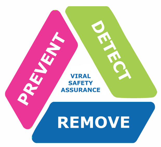 Viral Safety Components Visual representation of viral safety assurance in center, surrounded by the three essential components: 'Prevent', 'Detect', and 'Remove'