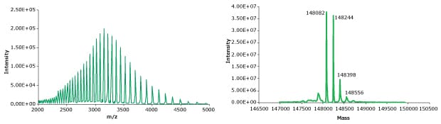 MS spectrum of intact adalimumab MS spectrum of intact adalimumab obtained during intact mass analysis