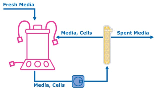 Cellicon® filter connected to 3L Mobius® bioreactor.