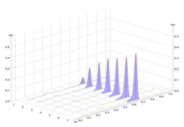 Densitogram for linearity of betamethasone measured at wavelength 254 nm A 3-dimensional TLC-densitogram, obtained for the developed plate using a TLC analyzer and scanned at 254 nm. The x-axis on the flat rectangular surface shows the position of the tracks, ranging from 0 to 7, indicating where each compound starts on the plate. The y-axis displays the retention factor, ranging from 0.0 to 1.0 at intervals of 0.1. The z-axis represents the detector's response in absorbance units (AU), ranging from 0.0 to 0.5 at intervals of 0.1. Seven peaks rise from the flat rectangular surface, corresponding to the seven tracks spotted on the plate, labeled 1 to 7 from left to right. The peaks increase in height from track 1 to 7, indicating an increase in the concentration of betamethasone. All peaks are obtained at the same position just below the Rf value of 0.7.