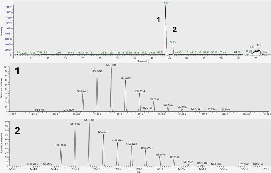 Long gradient analysis of liraglutide LC-MS chromatogram and mass spectra showing liraglutide peak with 3+ charge state and impurity exhibiting +12 Da mass shift.