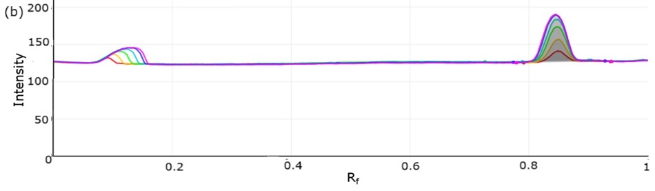 A two-dimensional densitogram graph with intensity plotted on the vertical axis and Rf values on the horizontal axis ranging from 0 to 1. Multiple overlapping curves, each corresponding to a different concentration level of chlorthalidone, show two distinct peaks. The first peak appears at a low Rf value around 0.1 and the second, more prominent peak is located around Rf 0.82. The peak heights increase systematically, reflecting higher concentrations in the standard solutions. Shaded areas beneath the curves emphasize the intensity differences between the bands. The background is white with light gridlines and black axis labels.