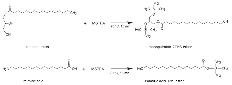 Trimethylsilylation derivatization of a partially esterified monoacylglycerol The chemical reaction on top shows trimethylsilylation derivatization of a partially esterified monoacylglycerol, 1-monopalmitin, with MSTFA at 70 ˚C for 15 minutes to produce 1-monopalmitin-2TMS ether derivative. The bottom chemical reactions shows a non-esterified free fatty acid, palmitic acid, reacting with MSTFA at 70 ˚C for 15 minutes to produce palmitic acid-TMS ester.