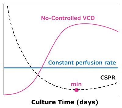 Comparison of VCD and CSPR in Dynamic Perfusion In dynamic perfusion, VCD is allowed to reach a maximum level while running at a constant perfusion rate, reaching a minimum CSPR. In steady state perfusion, a minimum CSPR is not reached as cell growth is controlled through bleed, maintaining a constant VCD below the maximum.
