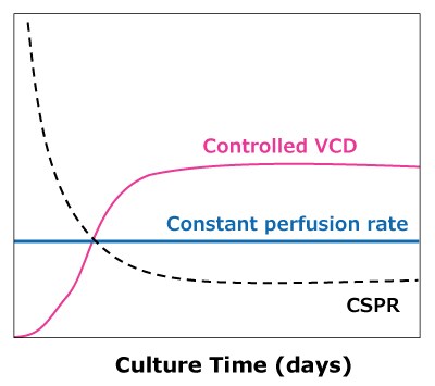 Comparison of VCD and CSPR in Steady State Perfusion In dynamic perfusion, VCD is allowed to reach a maximum level while running at a constant perfusion rate, reaching a minimum CSPR. In steady state perfusion, a minimum CSPR is not reached as cell growth is controlled through bleed, maintaining a constant VCD below the maximum.