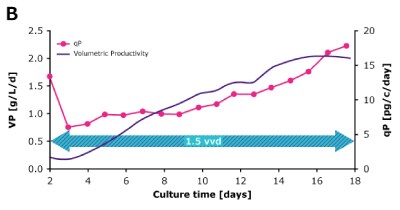Dynamic Perfusion Comparison VP qP In dynamic perfusion, a high viable cell density (VCD) of 150 × 10^6 cells/mL at 1.5 VVD was achieved, and both volumetric (VP) and cell specific (qP) productivities were increased over time. In steady state perfusion, target VCD of 50 × 10^6 cells/mL was maintained at 1.5 and 1.0 VVD, and both VP and qP remained stable.