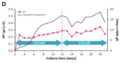Steady State Perfusion Comparison VP qP In dynamic perfusion, a high viable cell density (VCD) of 150 × 10^6 cells/mL at 1.5 VVD was achieved, and both volumetric (VP) and cell specific (qP) productivities were increased over time. In steady state perfusion, target VCD of 50 × 10^6 cells/mL was maintained at 1.5 and 1.0 VVD, and both VP and qP remained stable.